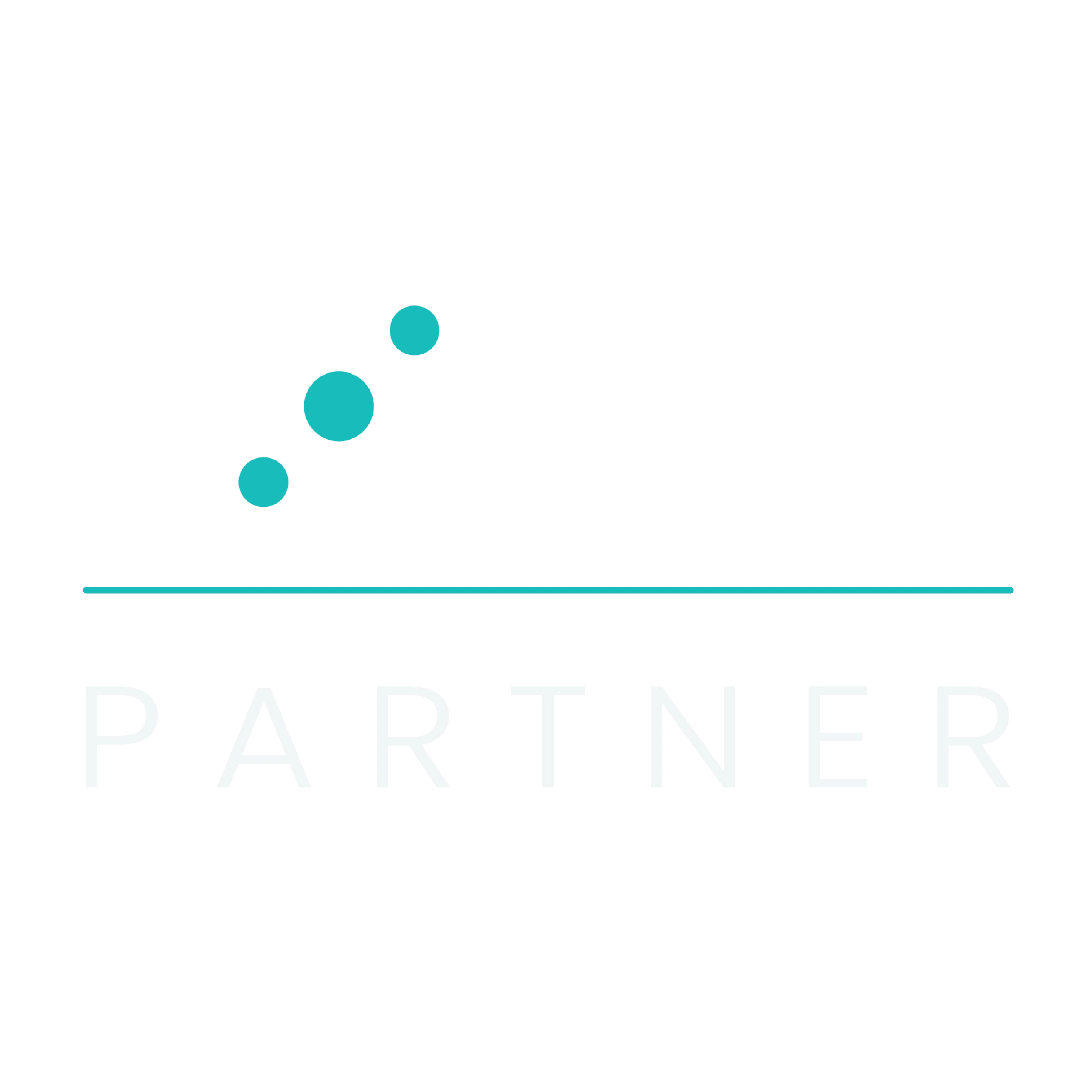 Solink video surveillance for marinas and boat rentals - AI-powered security cameras with cloud storage and POS integration